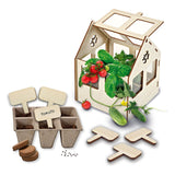 Ses Greenhouse avec des légumes