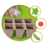 Ses Greenhouse avec des légumes
