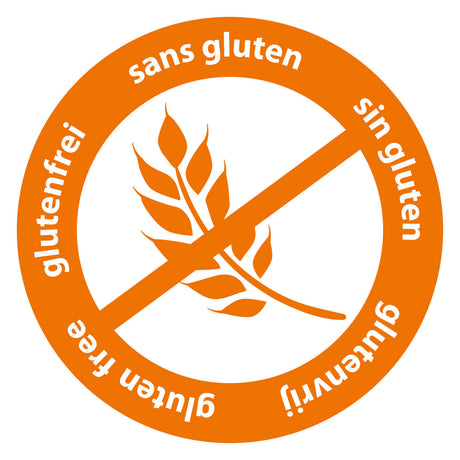 Ses creative - mon premier - méga set d'argile - outils et formes d'argile - argile sans gluten aux couleurs vives - ne sèche pas - thème ferme - avec rouleau à pâtisserie et marteau en bois