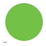 Peinture scolaire Creall vert clair, 1 litre