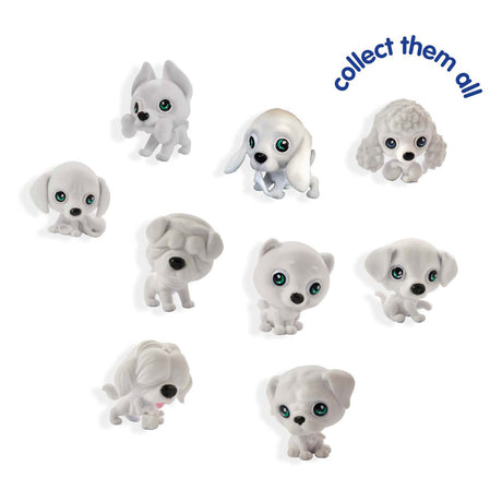 Ses chiots tripes à l'aérographe surprise
