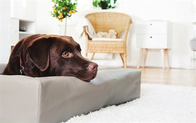 Housse de panier pour chien en cuir artificiel pour lit Bia taupe