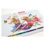 Crayons de couleur Bruynzeel 36pcs expression pour adultes
