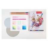 Crayons de couleur Bruynzeel 12pcs expression pour adultes