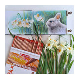 Talens art création crayons de couleur set 24