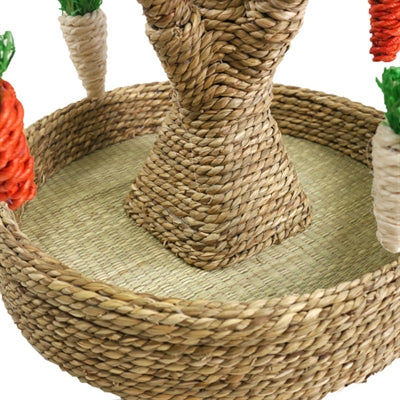 Arbre de jeu en palissandre pour rongeurs