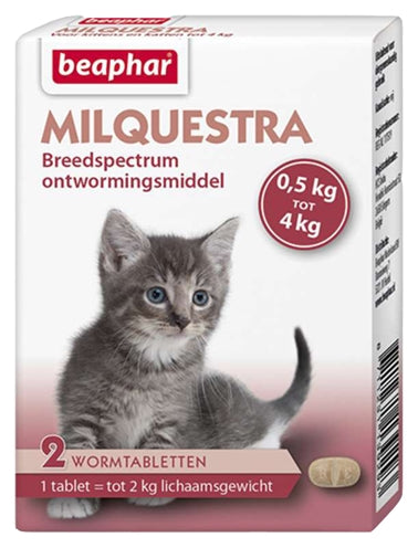 Beephar milquestra liten katt kattunge