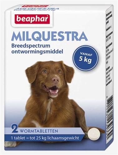 Beephar milquestra hund