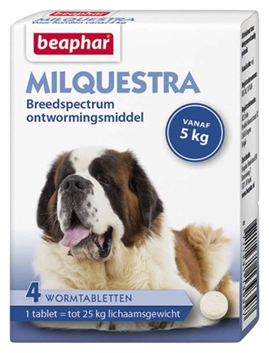 Beephar milquestra hund