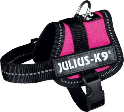 Juliius k9 Power-Harnas Tuig fir Etiketten Fuchsien