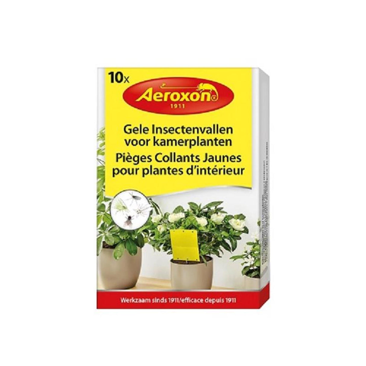 Pièges à insectes jaunes Bsi Aeroxon pour plantes d'intérieur, boîte de 10 pièces