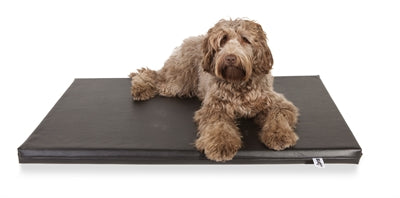 Bia bed matelas transat orthopédique noir