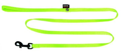 Laisse pour chien Martin nylon vert