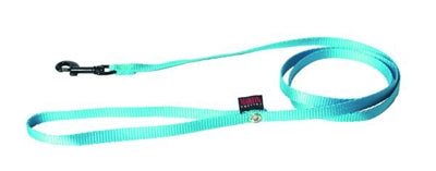 Laisse pour chien Martin nylon turquoise