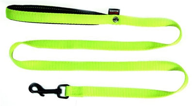 Laisse pour chien Martin nylon vert