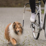 Trixie Bikerset Fahrradhalterung Springer