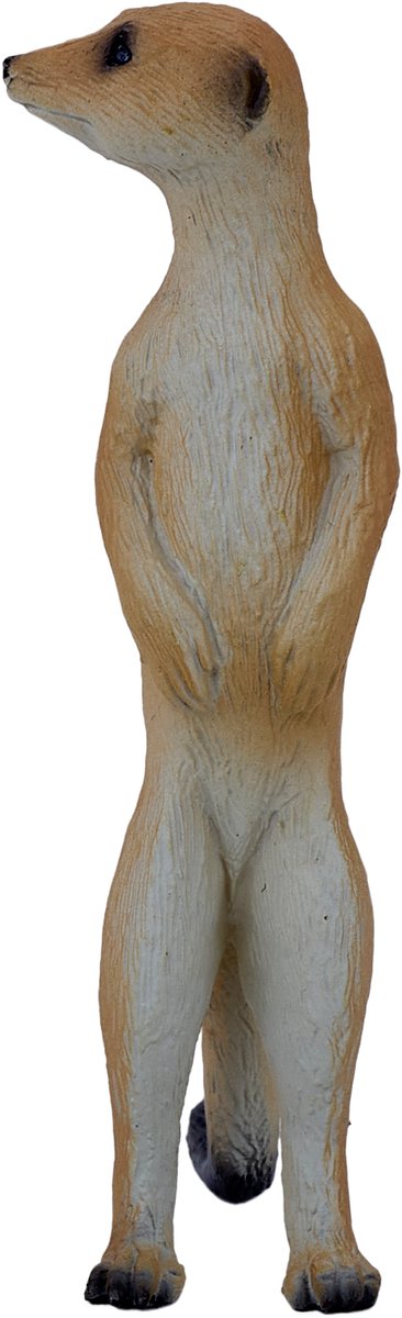 Suricate de la faune Mojo - 387125