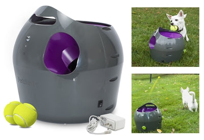 PETSAFE Lanceur de balle automatique