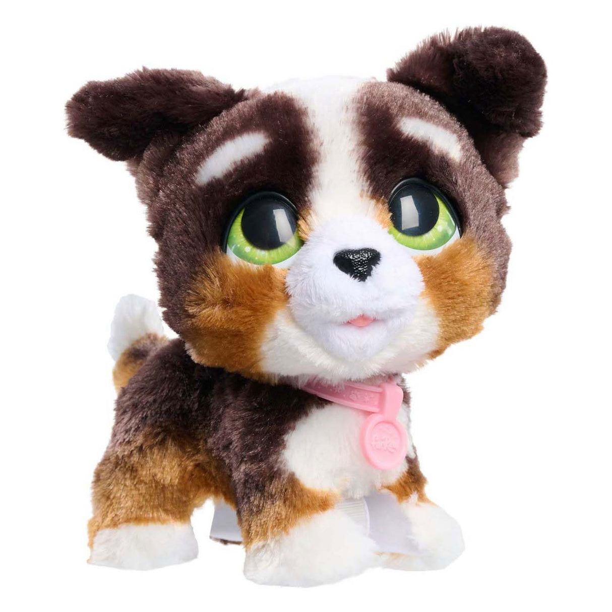 Spectron furreal marche beaucoup bernedoodle