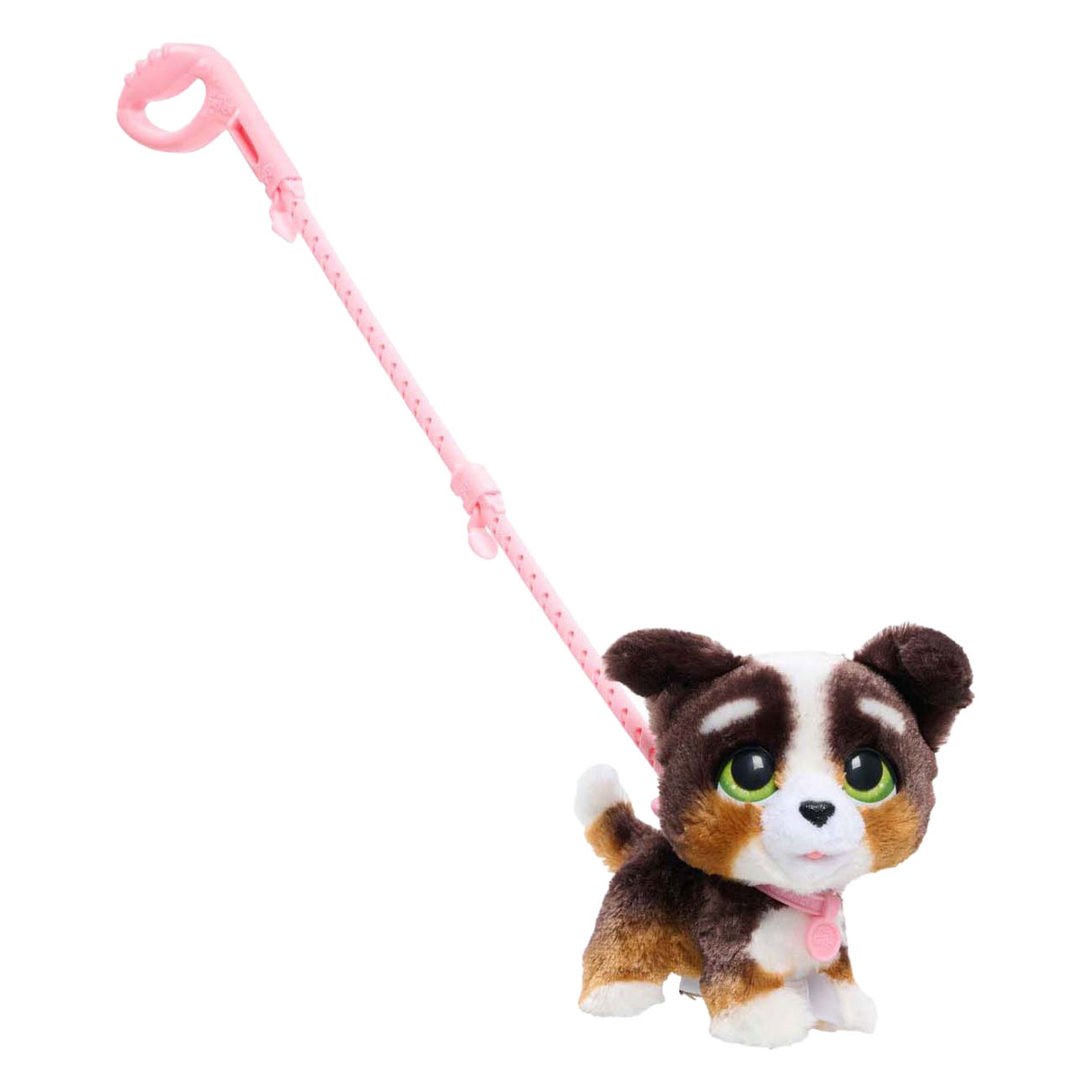Spectron furreal marche beaucoup bernedoodle
