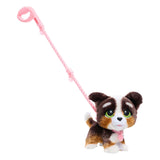 Spectron furreal marche beaucoup bernedoodle