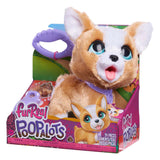 Spectron furreal caca beaucoup de corgi