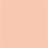 Marqueurs de couleur Bic Visa Color, largeur de trait 3 mm, beige clair, 12 pièces 1 boîte