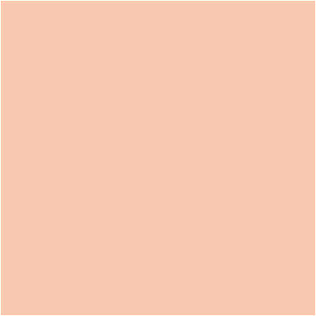 Marqueurs de couleur Bic Visa Color, largeur de trait 3 mm, beige clair, 12 pièces 1 boîte