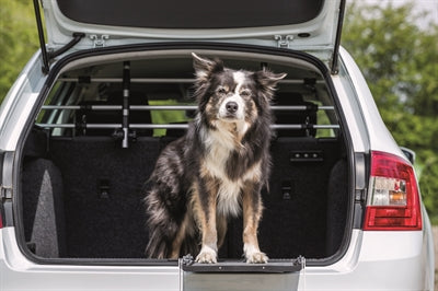 Trixie grille de protection pour chien voiture argent noir