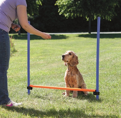 Trixie haie d'activité pour chien bleu orange