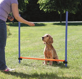 Trixie haie d'activité pour chien bleu orange