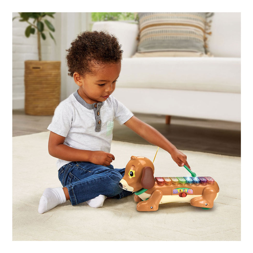 Xylophone Vtech Timmie Teckel avec lumière et son
