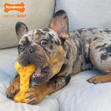 Nylabone Dura Chew Cheese