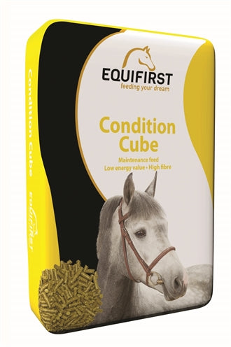 Cube de condition Equifirst