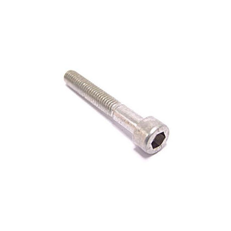 Bofix Allenbout M6 x 40 en acier inoxydable (12 pièces)