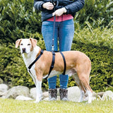 Harnais pour chien Trixie rester noir