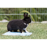Plaque réfrigérante Trixie pour petits animaux bleue