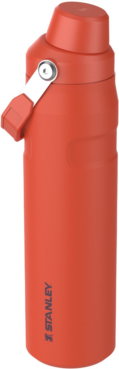 Bouteille d'eau Stanley aerolight iceflow™ débit rapide 0,6 l - garde au froid pendant 10 heures - gourde isotherme légère - passe au lave-vaisselle - couvercle étanche et à rotation rapide - sans BPA - prune lys tigré