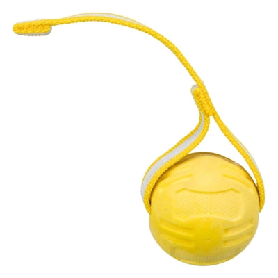 Trixie ballon de sport sur ruban TPR flottant assorti