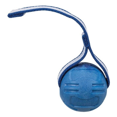 Trixie ballon de sport sur ruban TPR flottant assorti