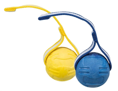 Trixie ballon de sport sur ruban TPR flottant assorti