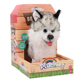 Pluchiez