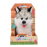 Pluchiez
