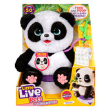 Petits animaux vivants mon bébé panda chuchu - peluche interactive