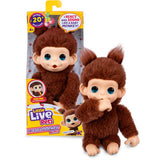 Petits animaux vivants mon bébé mini singe brun cherri | 3 pièces