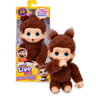Petits animaux vivants mon bébé mini singe brun cherri | 3 pièces