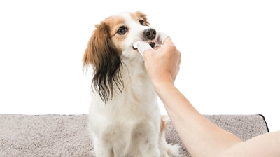 Trixie Dentalcare Pads