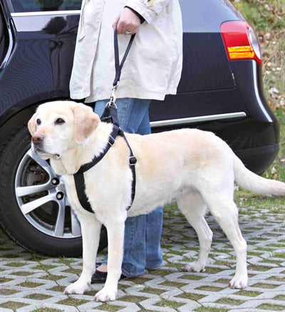 Trixie support court de ceinture de voiture universel noir