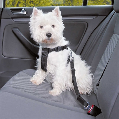 Trixie harnais pour chien voiture avec ceinture noir