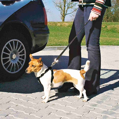 Trixie harnais pour chien voiture avec ceinture noir